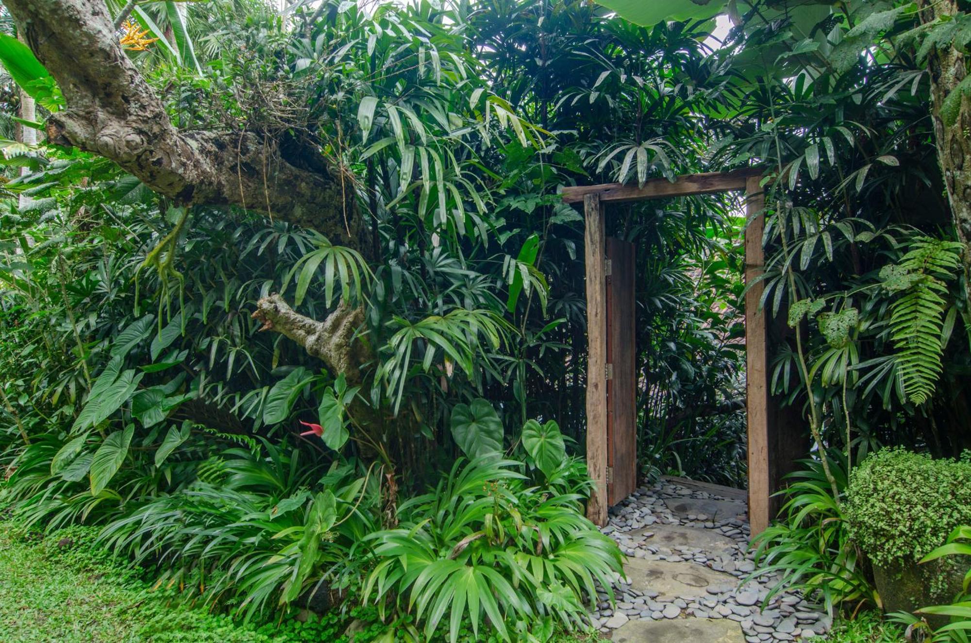 Dewi Tara Haven Acomodação com café da manhã Payangan Quarto foto