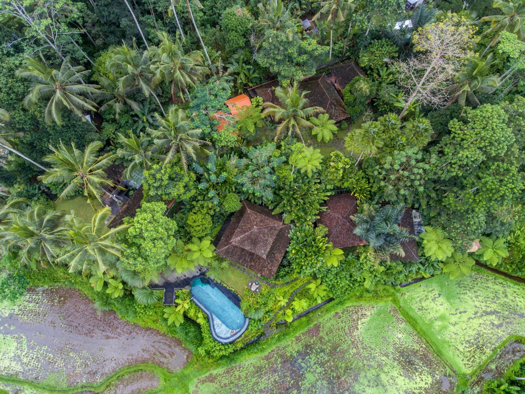 Dewi Tara Haven Acomodação com café da manhã Payangan Quarto foto