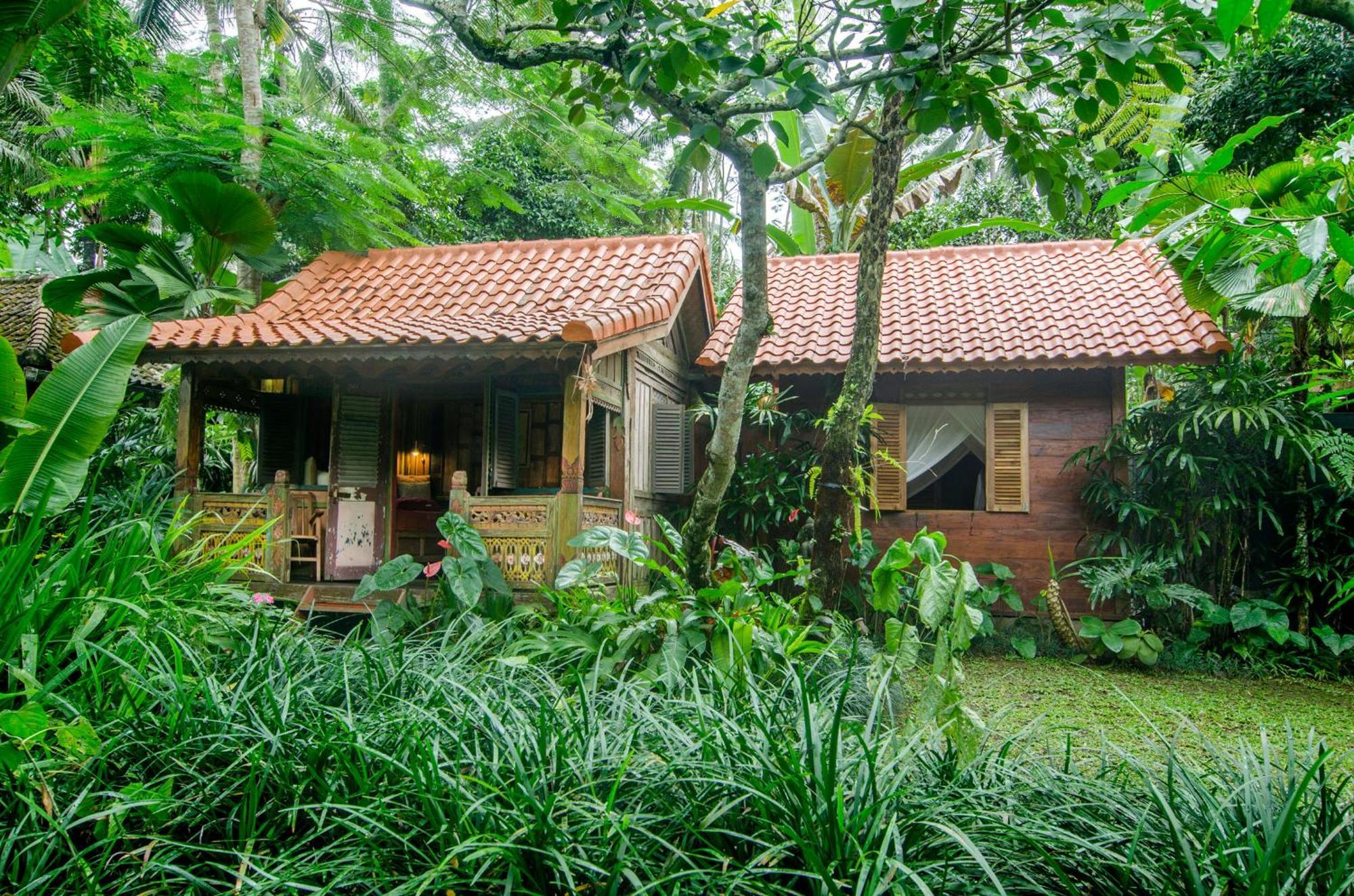 Dewi Tara Haven Acomodação com café da manhã Payangan Quarto foto